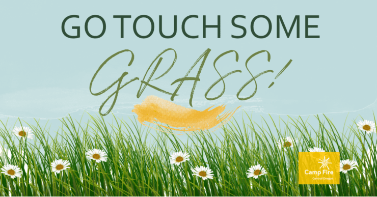 Graphic that says Go Touch Some Grass.