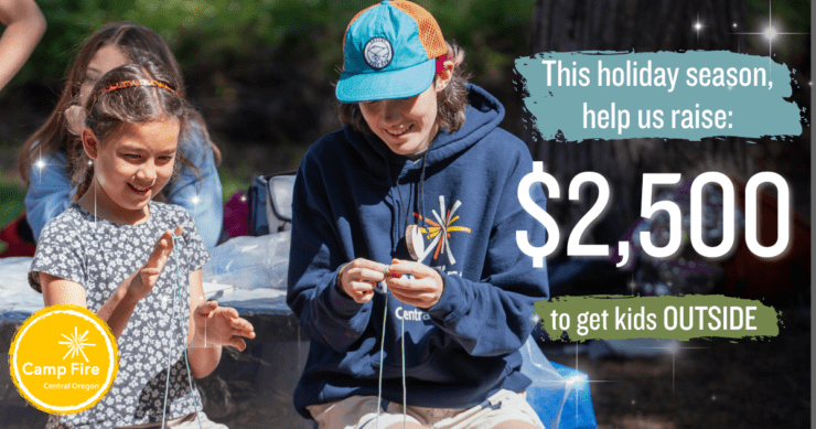 Graphic that encourages people to donate 2500 and shows a counselor helping a youth at a picnic table