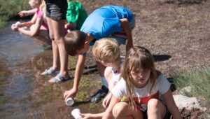 Kids playing with cups in a stream