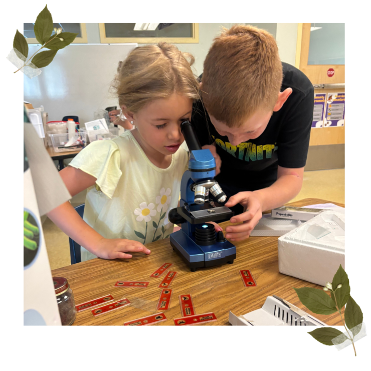 kids looking into microscope